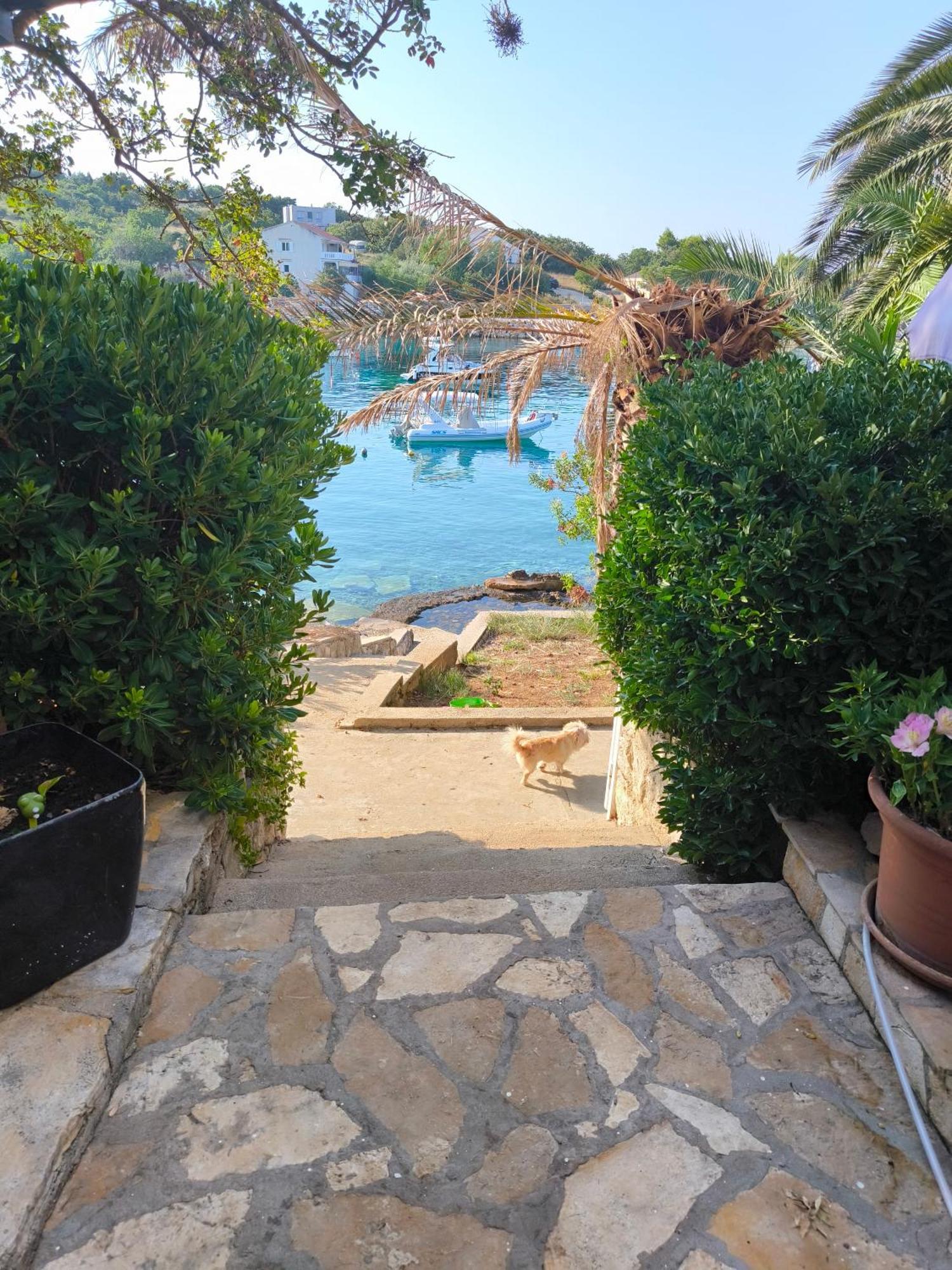 Apartments Anica Beber Borovići 外观 照片