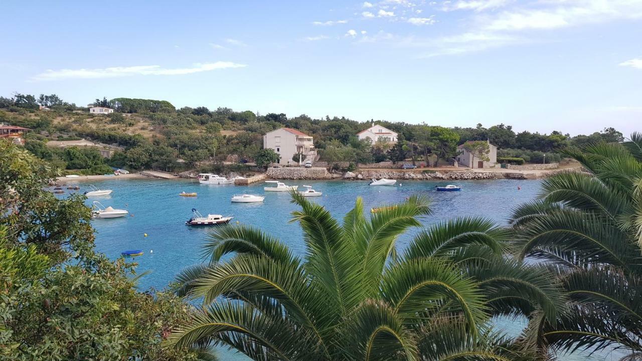 Apartments Anica Beber Borovići 外观 照片