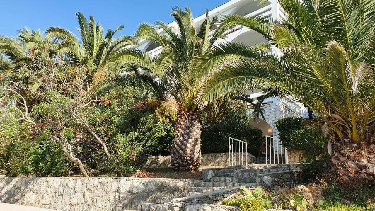 Apartments Anica Beber Borovići 外观 照片
