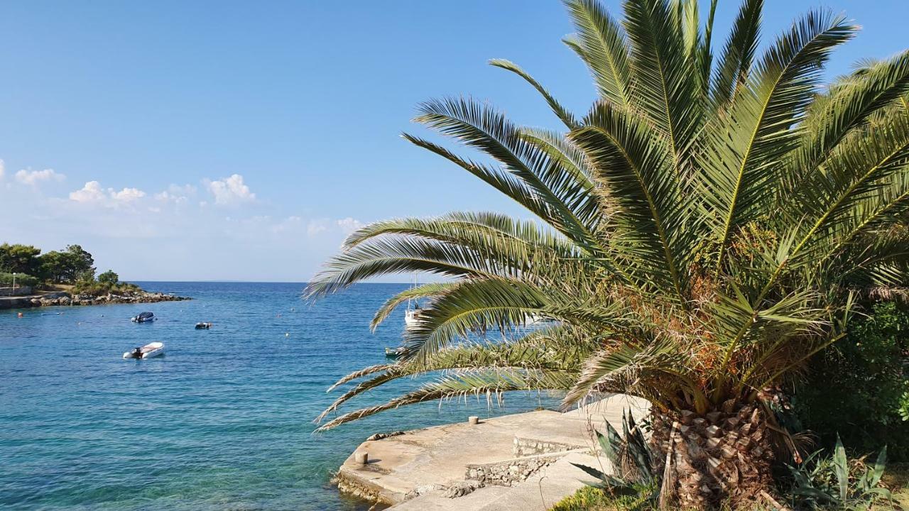 Apartments Anica Beber Borovići 外观 照片