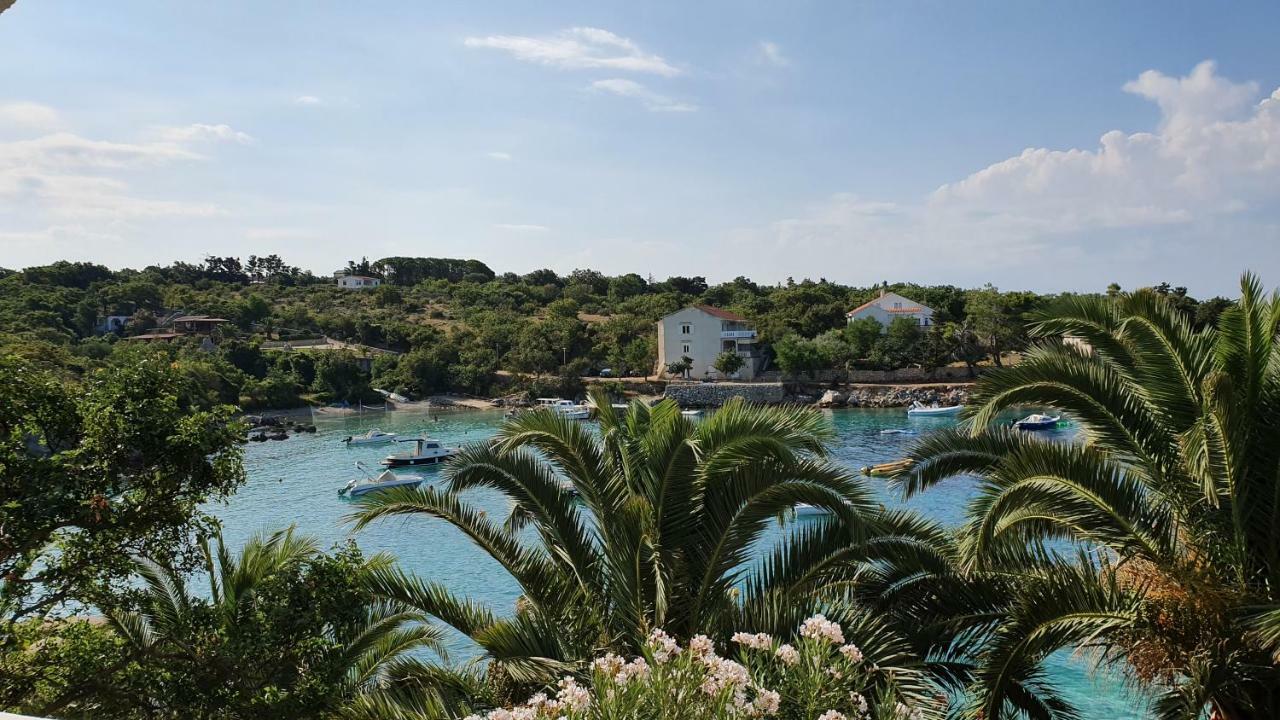Apartments Anica Beber Borovići 外观 照片